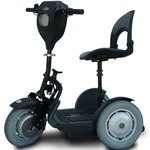 EV Rider SNR-2 Electric Scooter