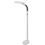 EasyEye Floor Lamp with Ionizer (2 Tube Bulb)