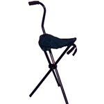 Cane Seat with Canvas Seat