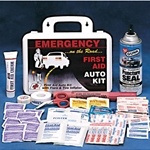 Emergency First Aid Auto Kit