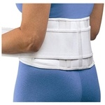 Mueller Adjustable Back Stabilizer with Lumbar Pad