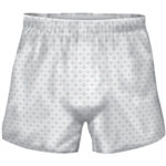 Prevail Boxers for Men
