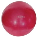 FitBALL Exercise Ball