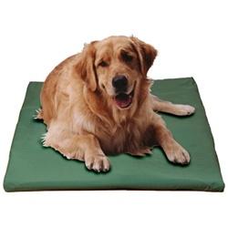 Canine Cooler Cover