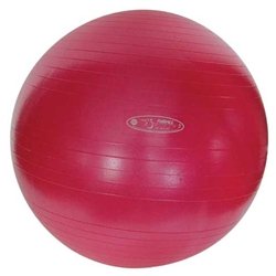 FitBALL Exercise Ball