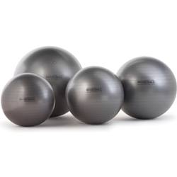 Physio Exercise Ball