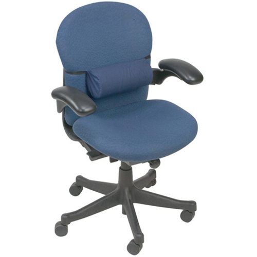 Lumbar Support Full Roll at