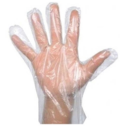 Foodcare Poly Food Service Gloves