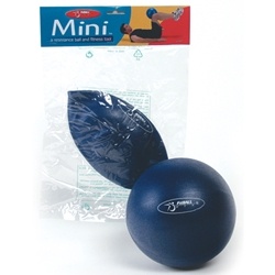 FitBALL Mini Exercise Ball