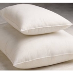 McKesson Disposable Hospital Pillows